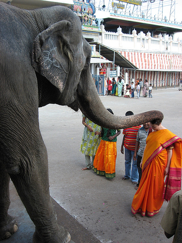 Thiruthani Murugan