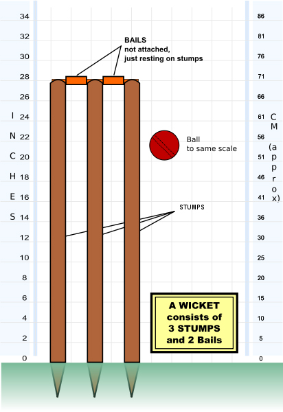 Cricket Stumps